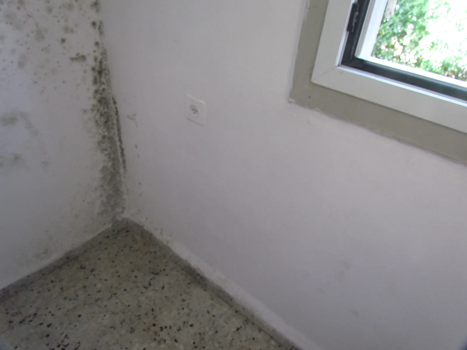 Schimmel in der Mietwohnung: Pflichten des Vermieters 1 Schimmel an der Außenwand in der Ecke einer Mietwohnung hinter einem Schrank